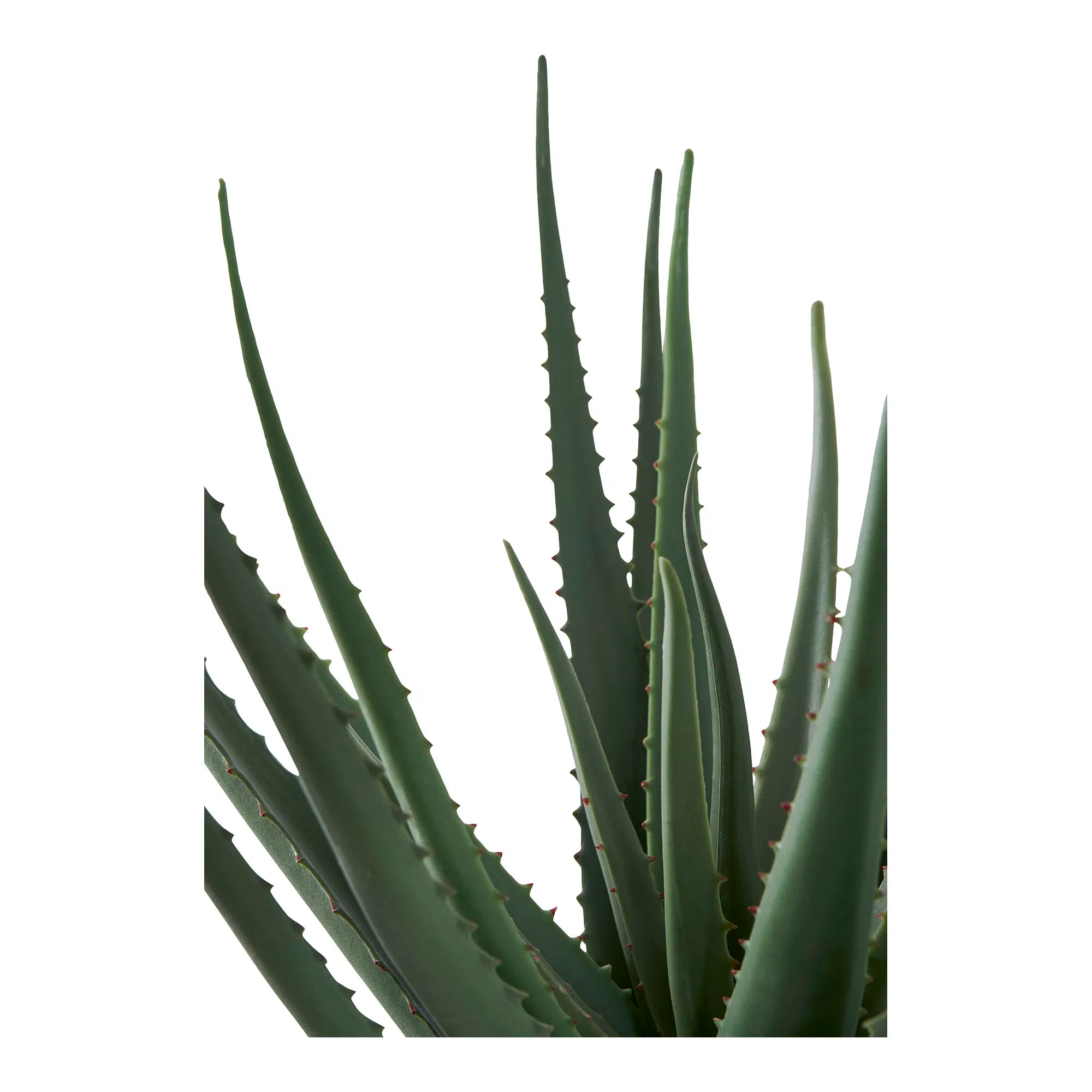Kunstpflanze Aloe Vera – 51 cm onderhoudsvriendelijke klassieker in een moderne look