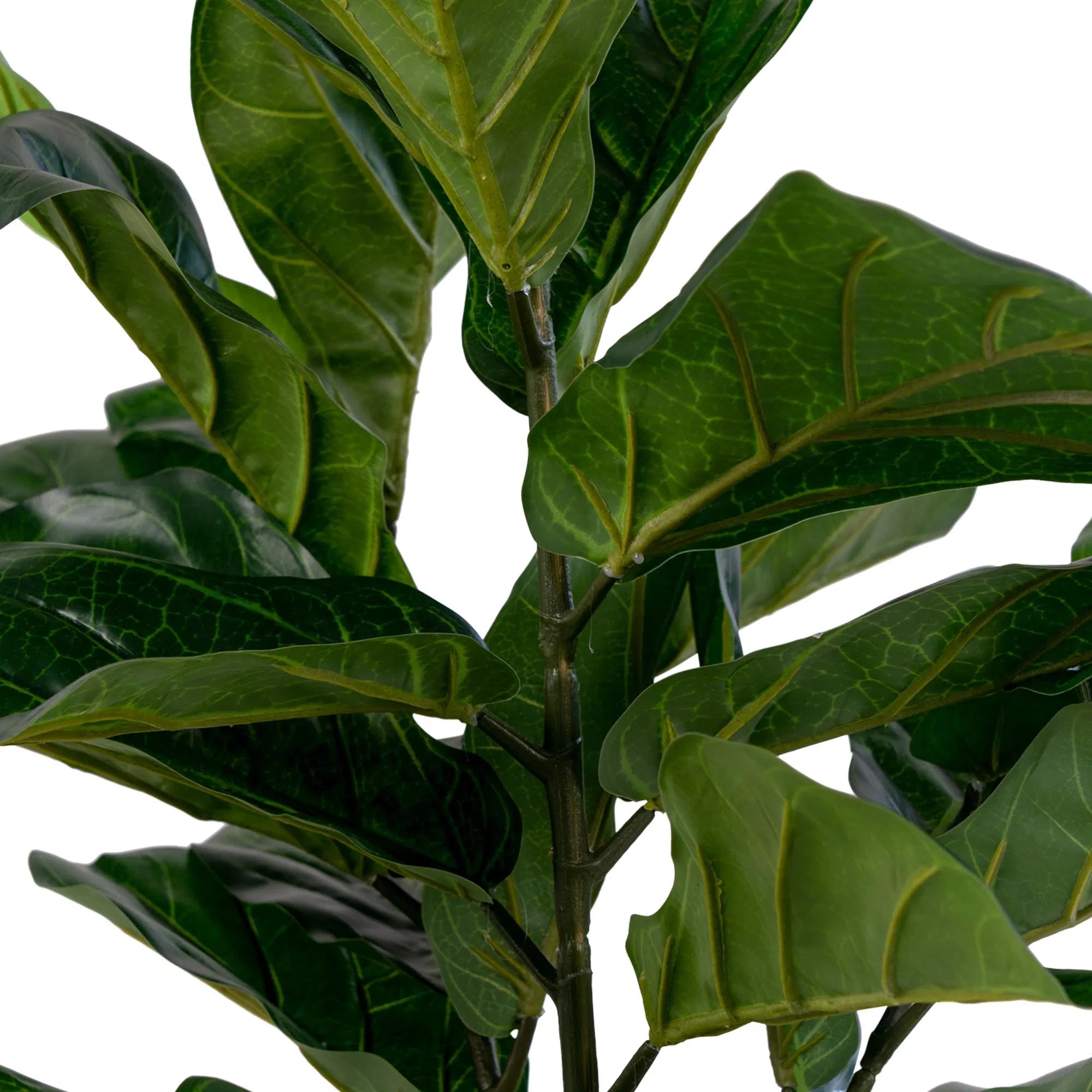 Kunstpflanze Fiddle Leaf Tree – 100 cm eleganter Hingucker mit großen Blättern