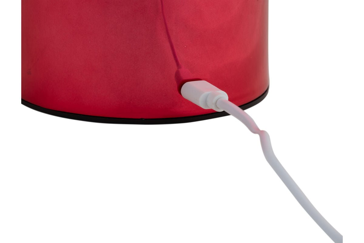 Lampe de table Skogna - Lampe design en fer avec LED