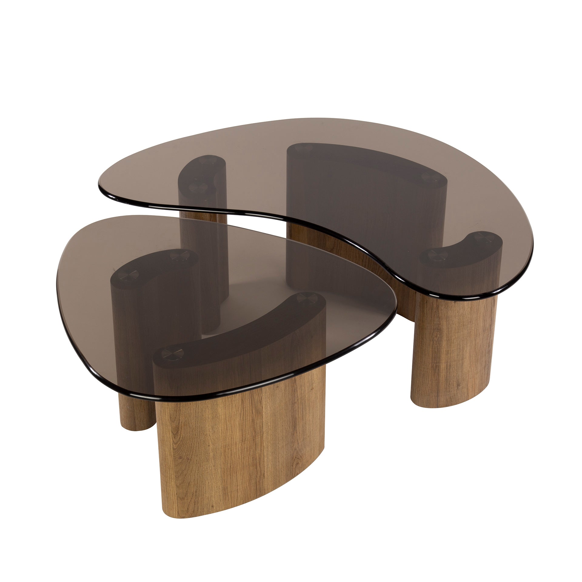 Salontafel Aurora - set van 2 met tafelblad van rookglas en frame in eikenlook