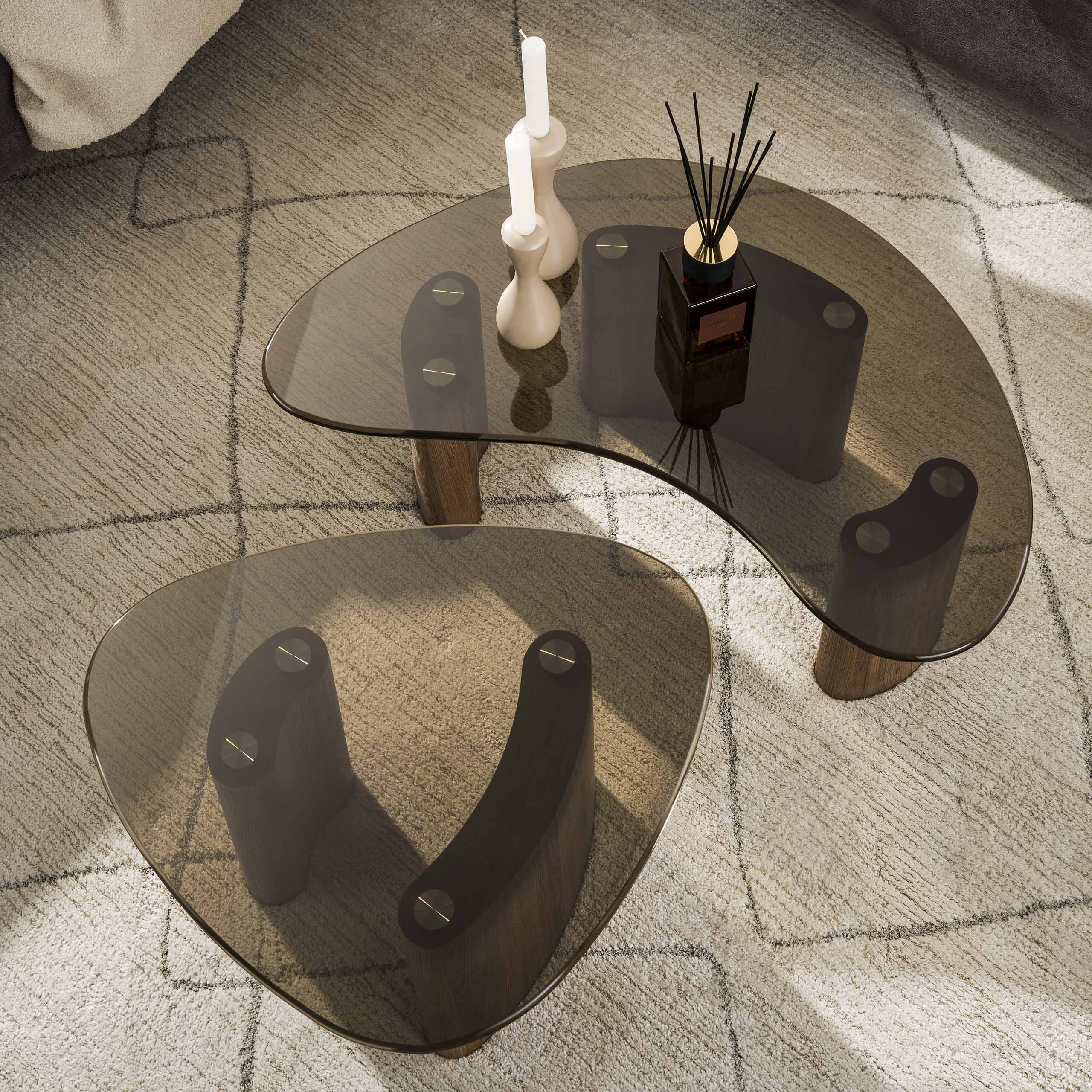 Salontafel Aurora - set van 2 met tafelblad van rookglas en frame in eikenlook