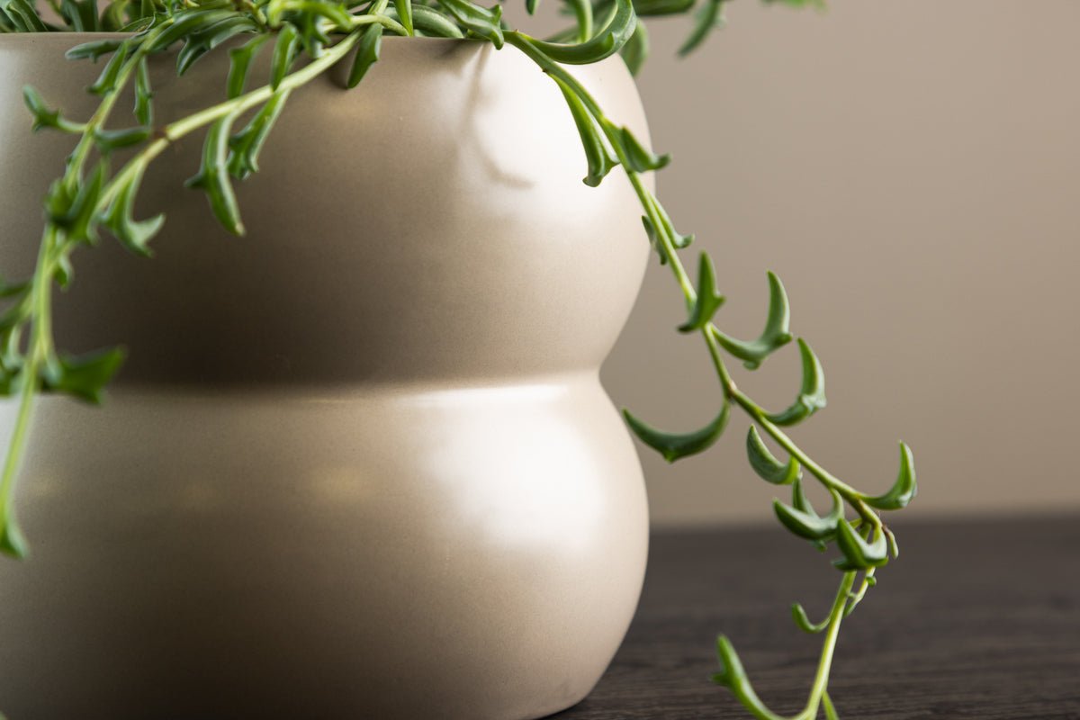 Bloempot Orin - in het subtiele ontwerp van keramiek