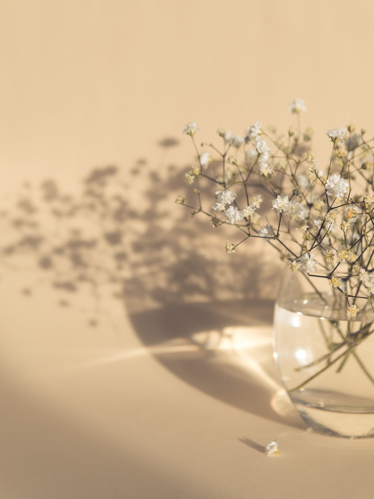 Poster Vase à fleurs en papier de haute qualité