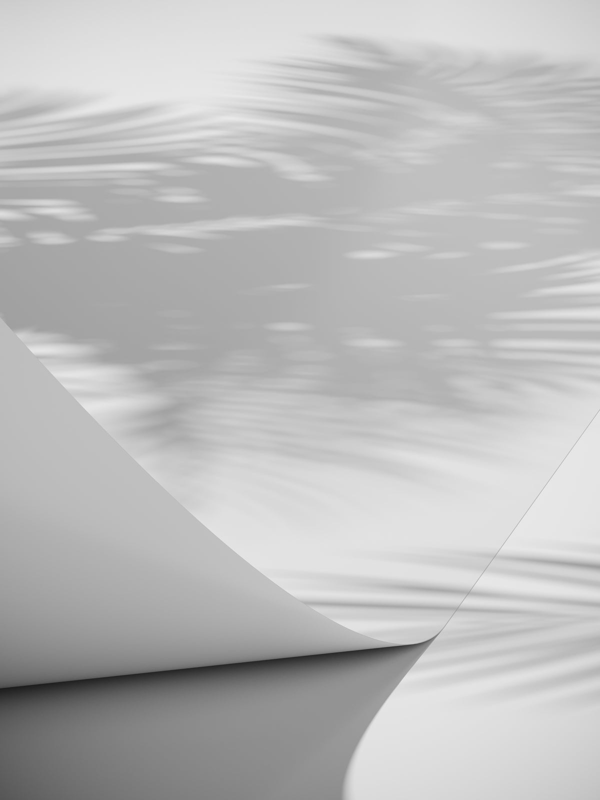 Poster Linea en papier de haute qualité