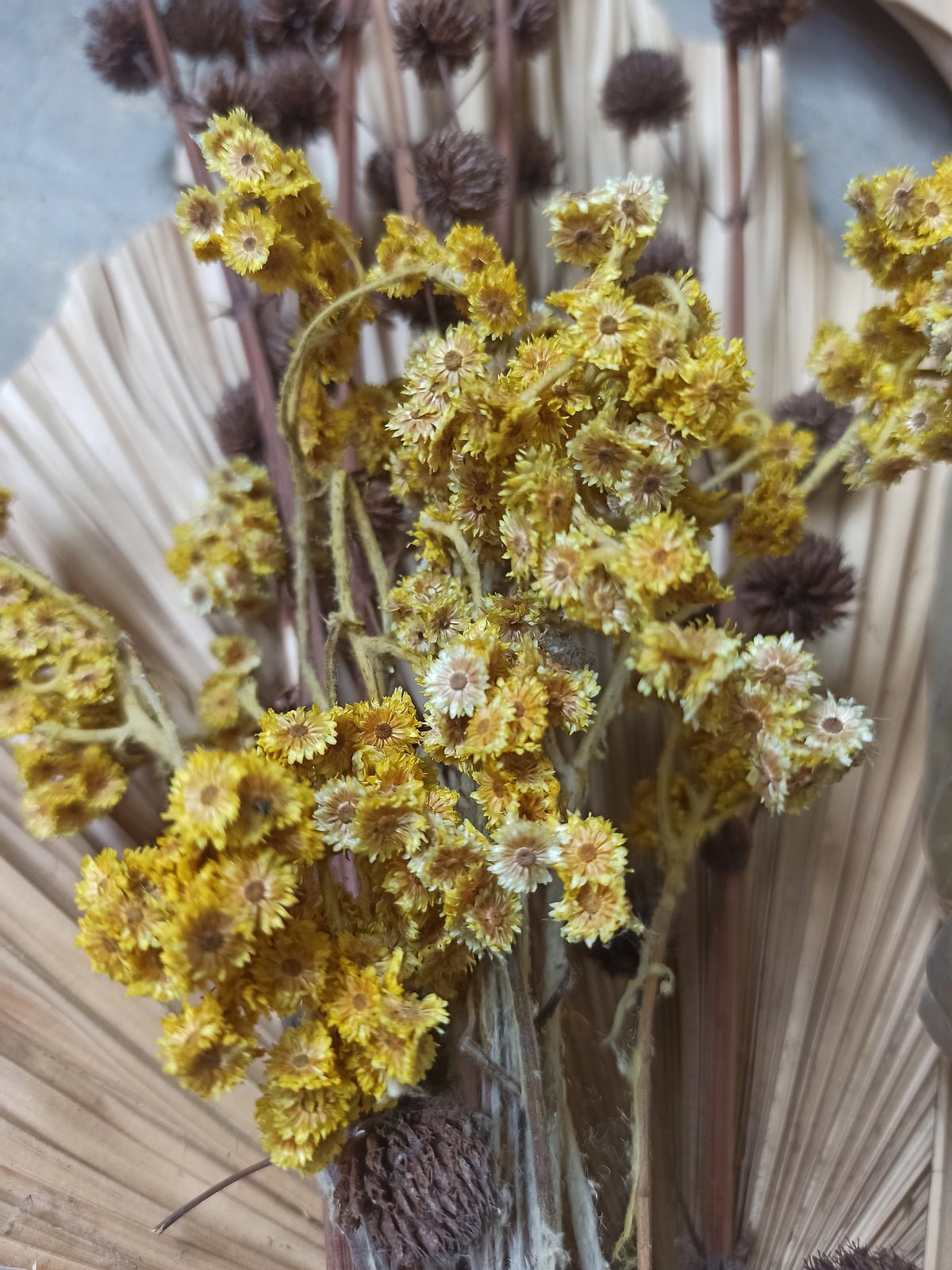 Poster Flora van hoogwaardig papier