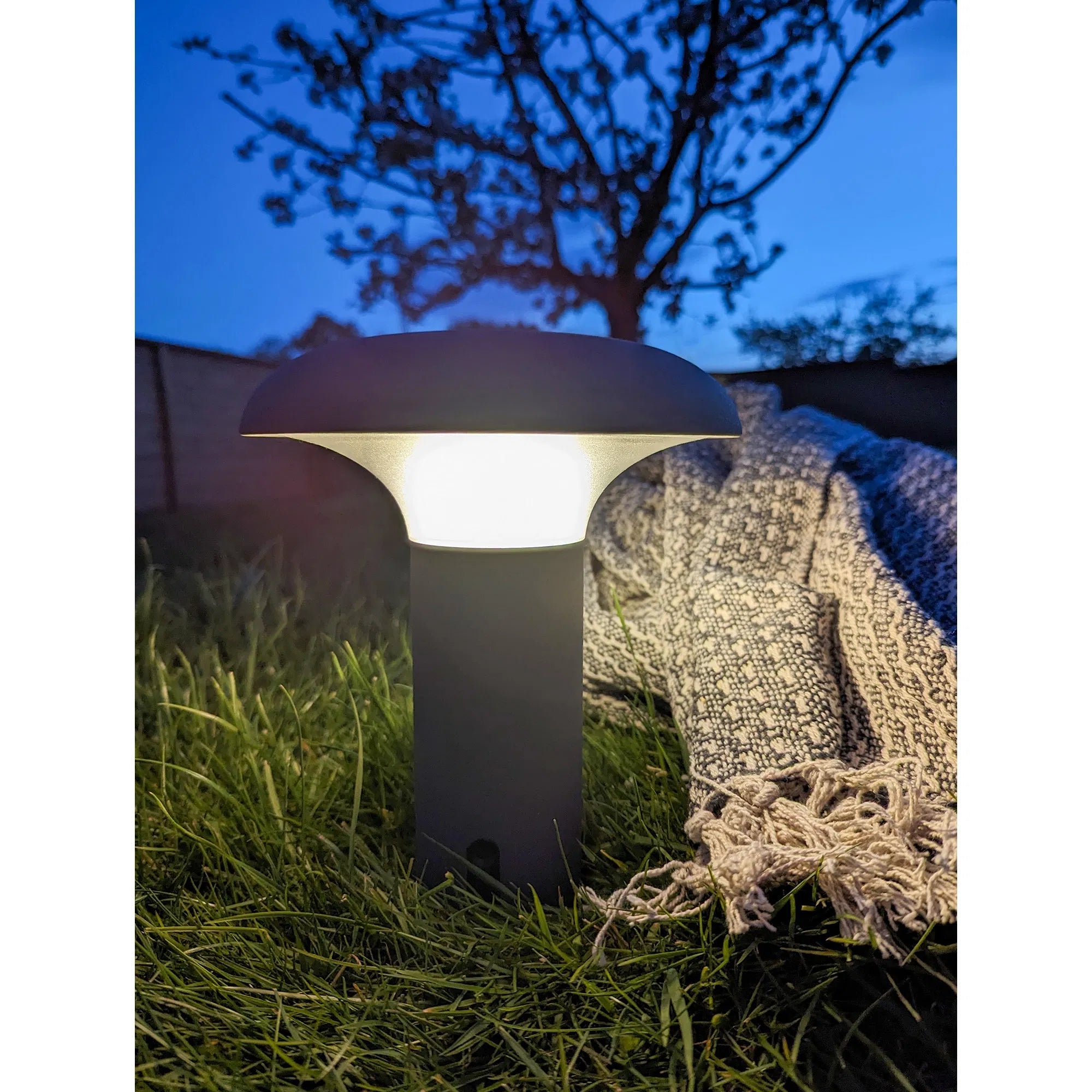 Lampe de table LED Sienna - Rechargeable