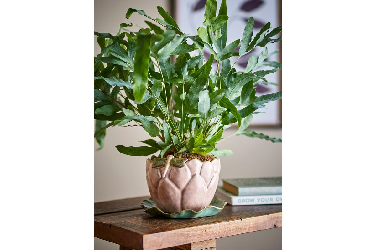 Bloempot Waterlelie – Steengoed met schotel