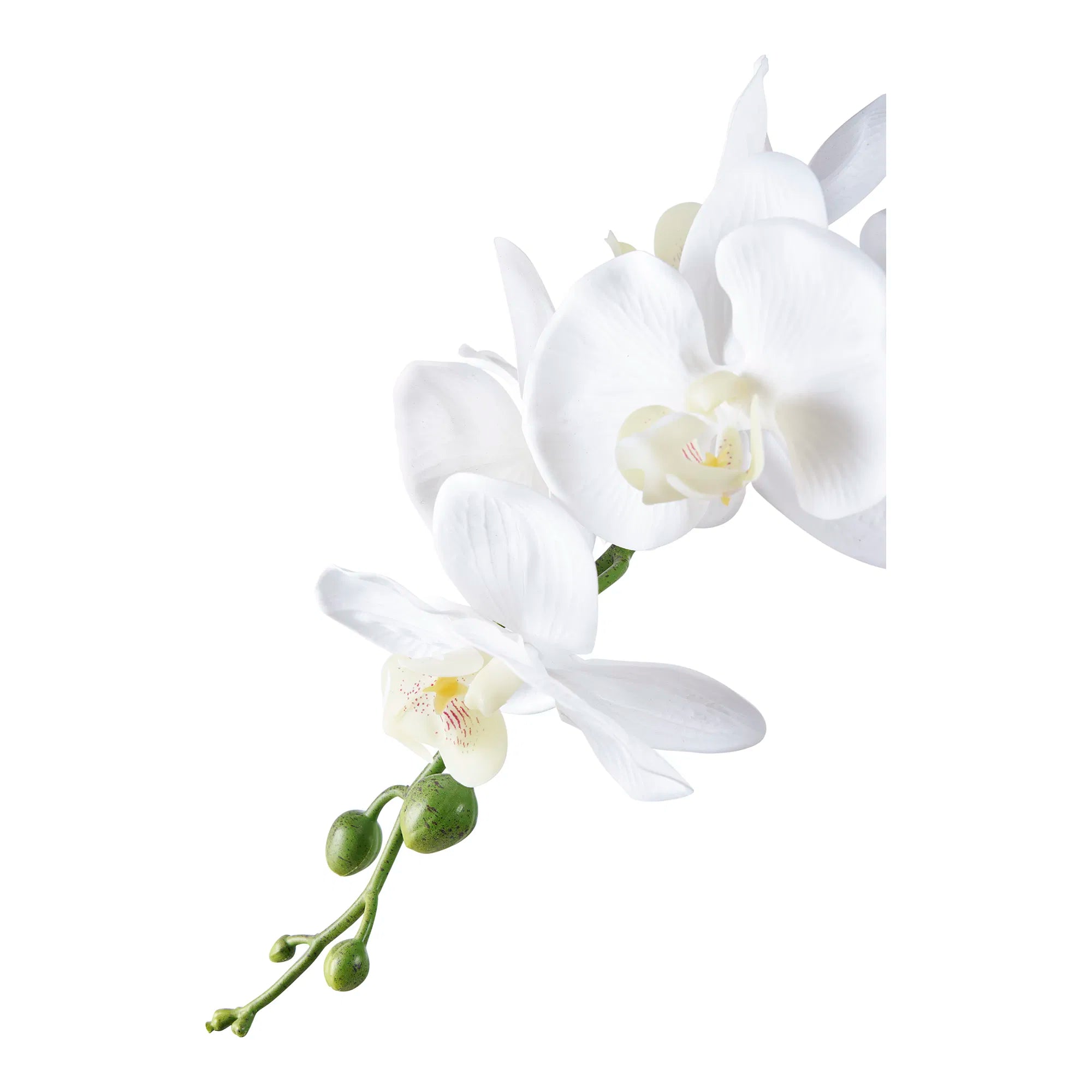 Kunstplant Orchidee – 49 cm elegante bloemenpracht voor stijlvolle ruimtes