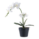 Kunstplant Orchidee – 49 cm elegante bloemenpracht voor stijlvolle ruimtes