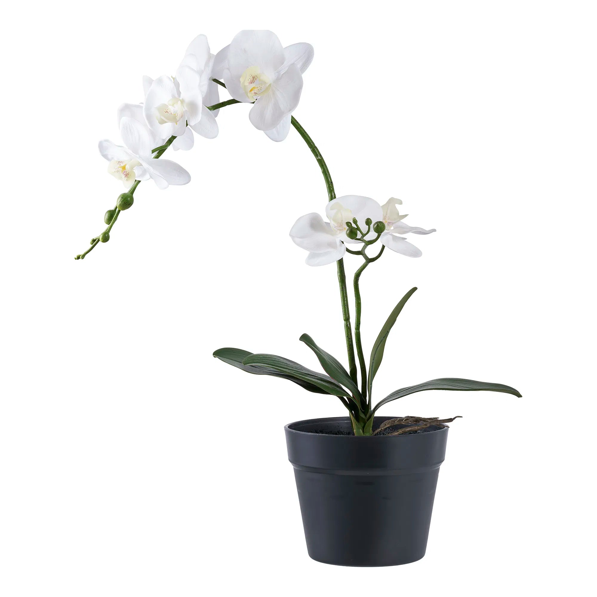 Orchidée artificielle – 49 cm d'élégance florale pour des espaces stylés