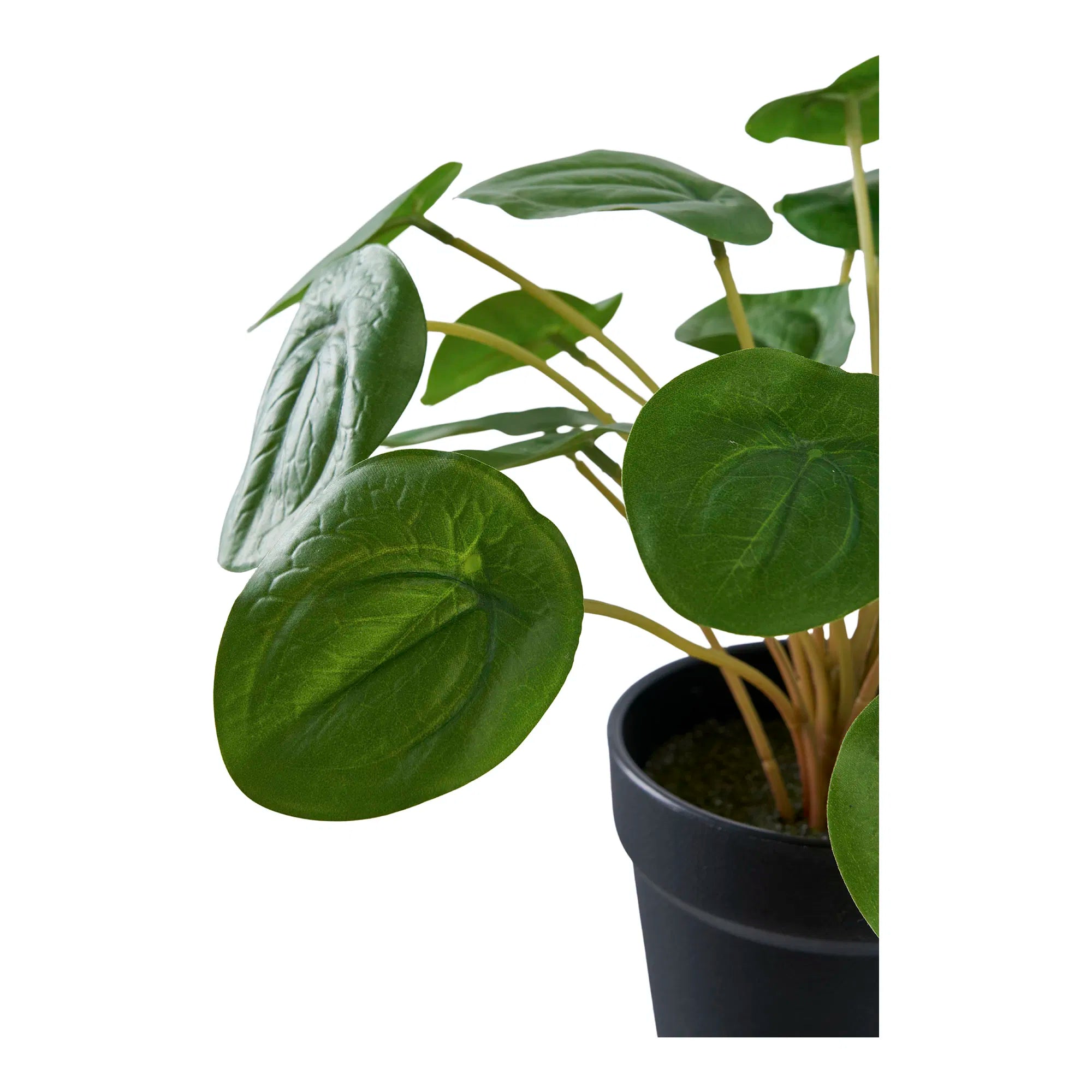 Plante artificielle Pelia – Fraîcheur décorative de 28 cm en format mini