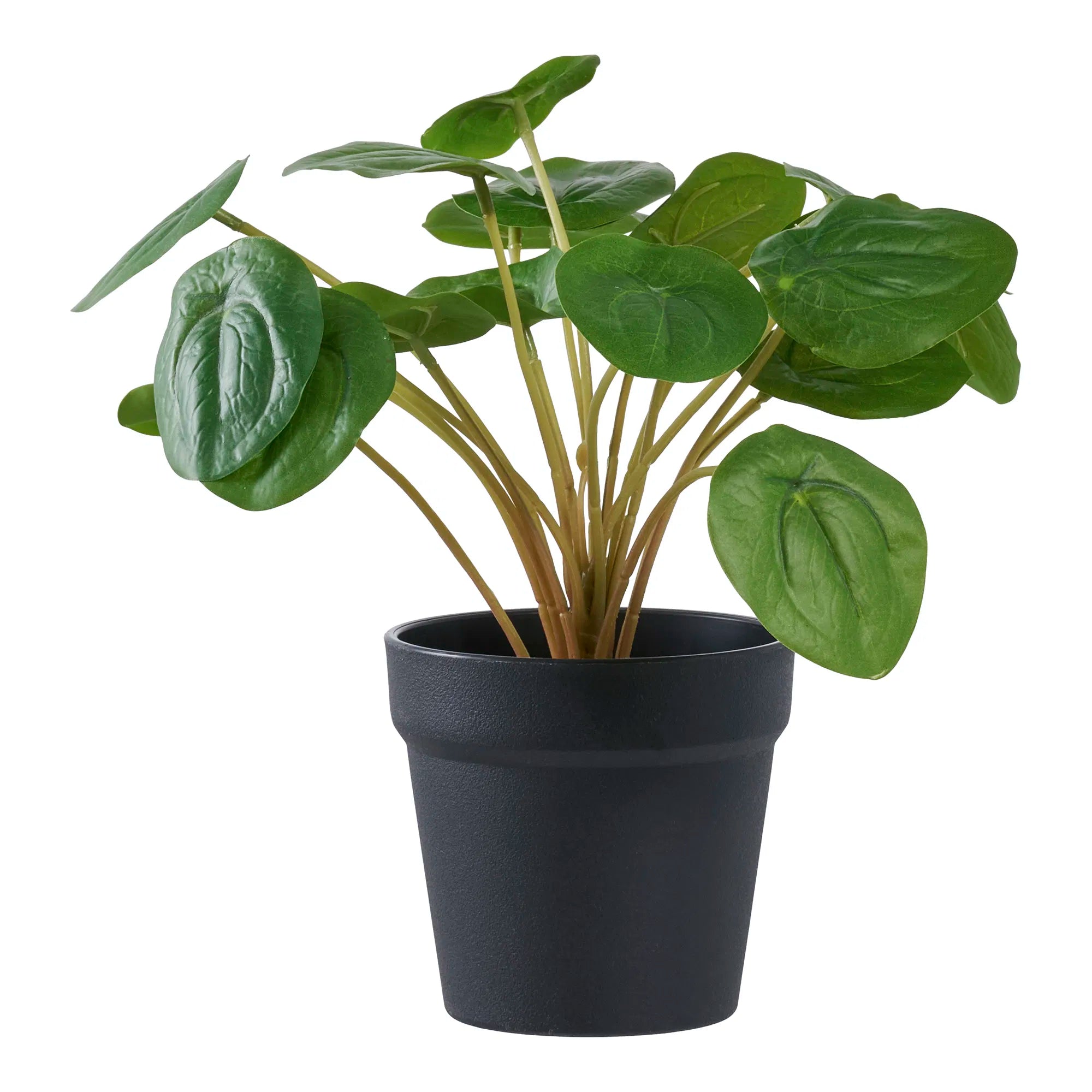 Plante artificielle Pelia – Fraîcheur décorative de 28 cm en format mini