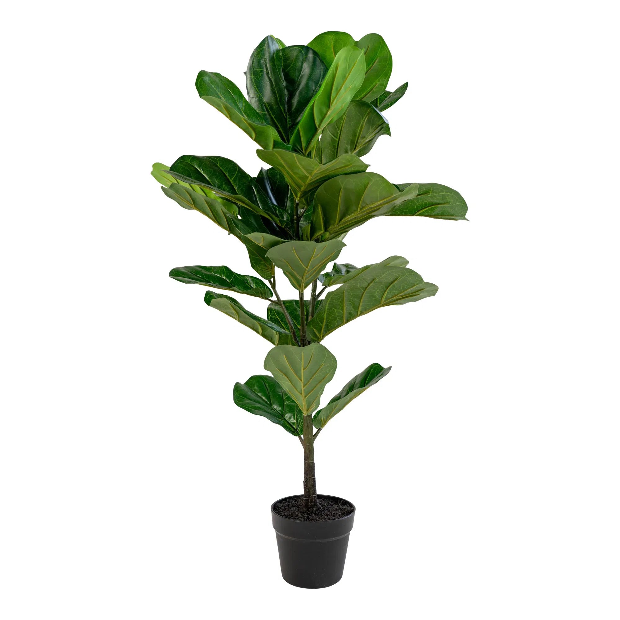 Arbre Fiddle Leaf artificiel – 100 cm, une pièce élégante avec de grandes feuilles