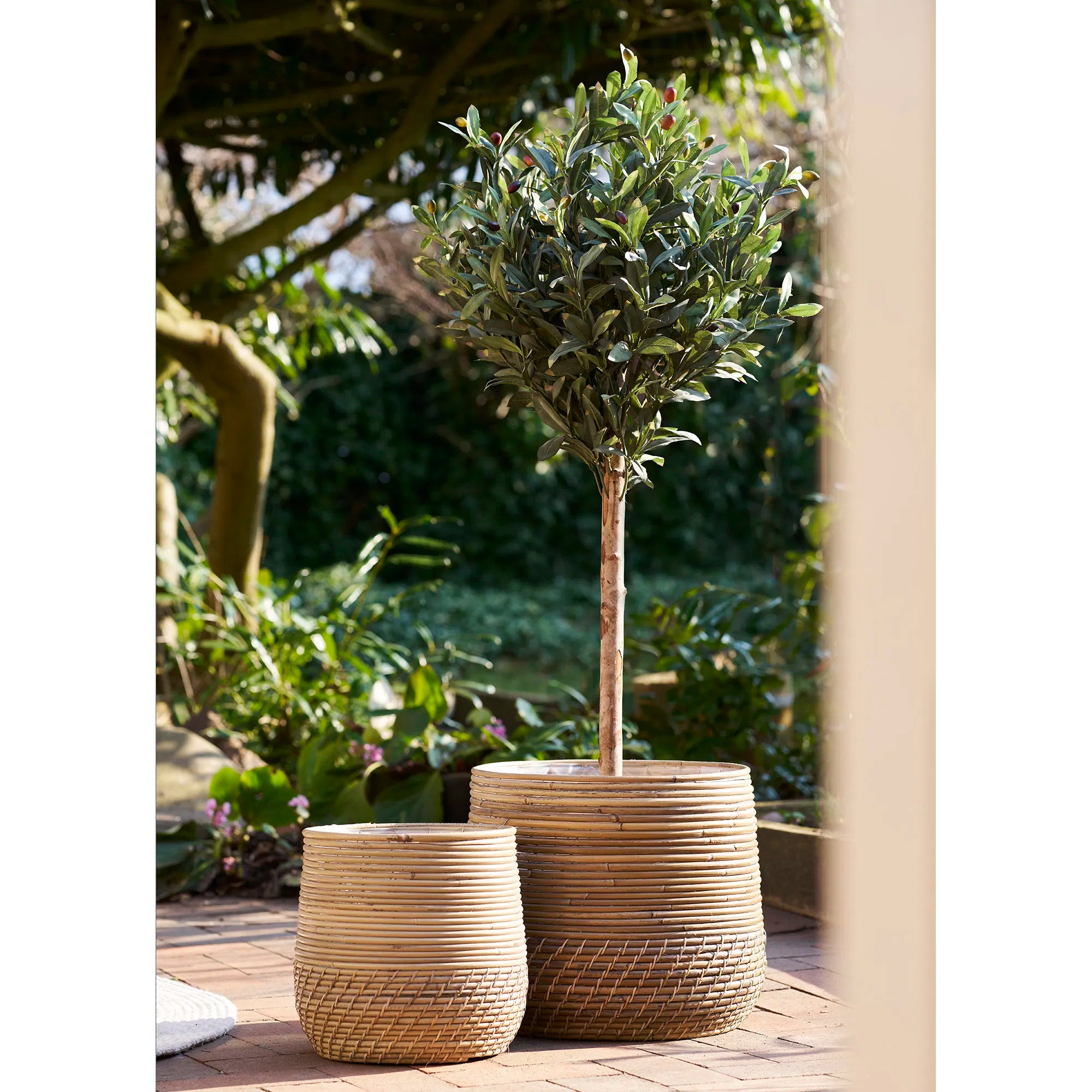 Kunstpflanze Olijfboom – 120 cm mediterrane elegantie voor binnen & buiten