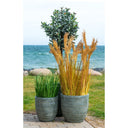 Plante artificielle d'herbe de sorgho – 110 cm d'aspect naturel avec une touche élégante