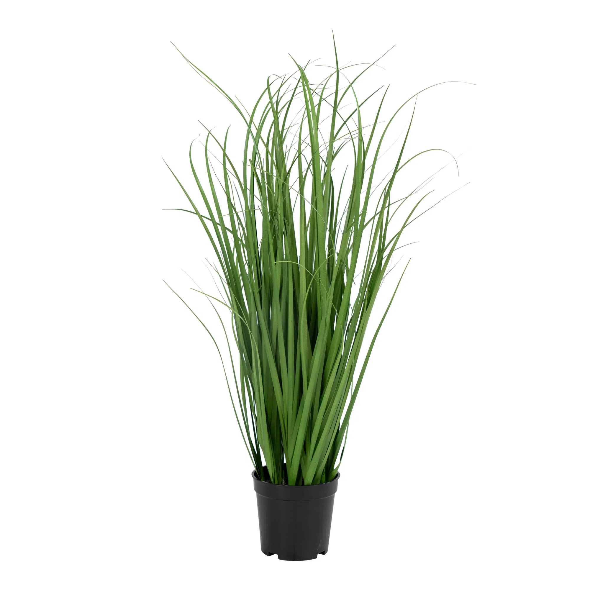 Plante artificielle Poa Gras – 68 cm d'aspect aéré pour des espaces modernes