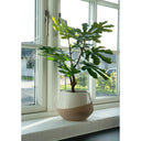 Kunstpflanze Feigenbaum – 60 cm mediterraner Charme für dein Zuhause