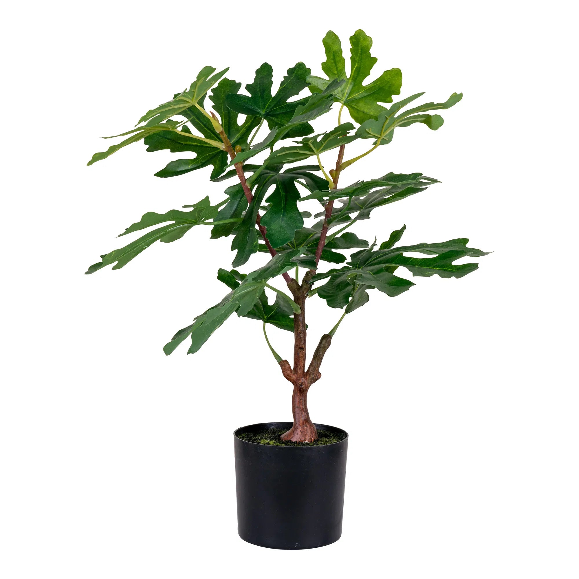 Plante artificielle figuier – 60 cm de charme méditerranéen pour votre maison