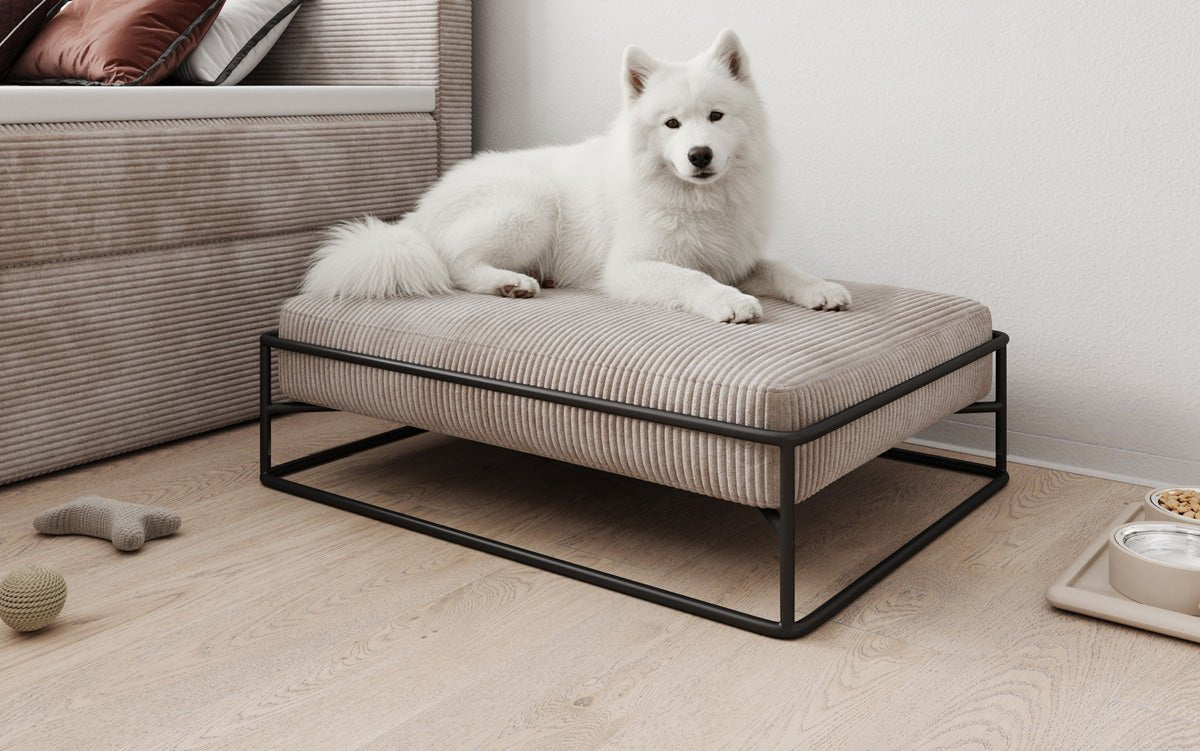 Lit pour chien Lumo 80 × 60 cm en Côtelé